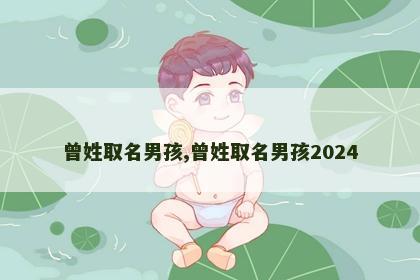 曾姓取名男孩,曾姓取名男孩2024