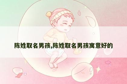 陈姓取名男孩,陈姓取名男孩寓意好的