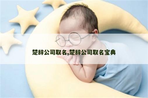 楚辞公司取名,楚辞公司取名宝典