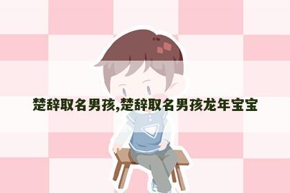 楚辞取名男孩,楚辞取名男孩龙年宝宝