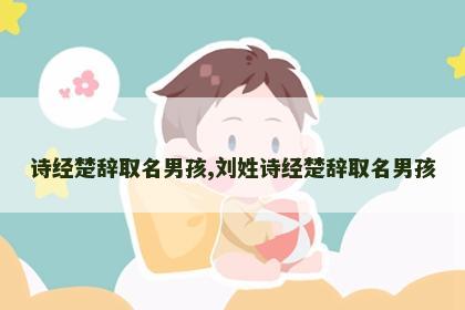 诗经楚辞取名男孩,刘姓诗经楚辞取名男孩