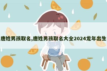 唐姓男孩取名,唐姓男孩取名大全2024龙年出生