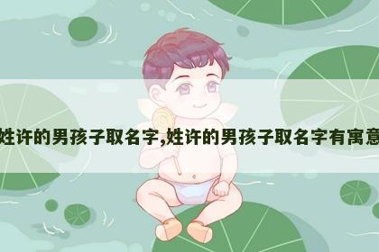 姓许的男孩子取名字,姓许的男孩子取名字有寓意